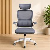 Ergonomic Orthopedic Office Chair