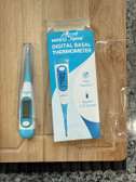 Easy@Home Digital Basal Thermometer with Blue Backlight