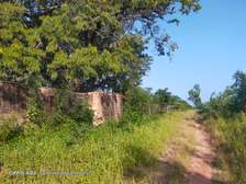 Land in Vipingo