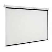 projector screen 210 by 210 Electric.