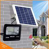 Solar Light Solar300 watts Floodlight