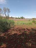 50X100 PLOTS - Sagana