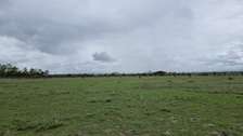 1acre land for sale- Jua Kali, Nanyuki