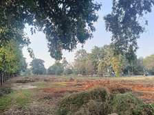 Commercial Property with Parking at Kiambu Road