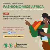 Entrepreneurship Opportunities in the Fashion Ecosystem in Africa 