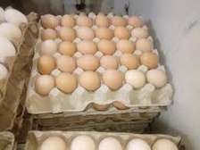 Improved Kienyeji Eggs