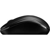 RAPOO M10 PLUS 2.4GHZ WIRELESS OPTICAL MOUSE