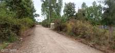 Spacious Rural Land Plot Flat Terrain Road Access