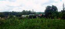 Prime Residential plot for sale in kikuyu, ondiri