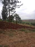 40X80ft PLOTS FOR SALE AT KABATI ZABKA IN MURANGA COUNTY