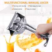 Manual Juice press