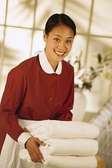 Professional house keeping and hotels