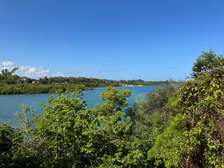 10.95 ac Land at Shanzu Beach - Overlooking Mtwapa Creek