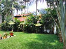 1 Bed House with En Suite at Runda Mimosa