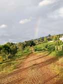 A very prime ¾ acre land Sale in Tigoni KENTMERE