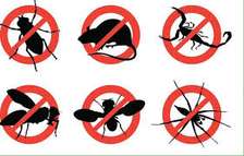 BED BUG Fumigation and Pest Control Services in Kileleshwa