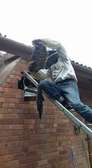 Live Bee Removal - NAIROBI Live Bee Removal
