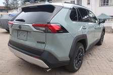 Toyota Rav4 Adventure Leather Sunroof 2019, 29,000 Kms