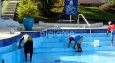 Swimming Pool Repair & Maintenance Services in Mountain View