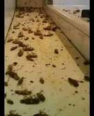 Vacuum cleaning and fumigation