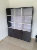 Spacious Book and file cabinet
