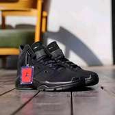 Air Jordan 6 Retro