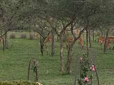 2 Bed House with En Suite at Mombasa Road