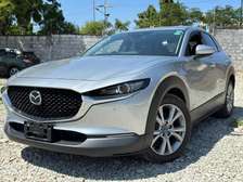 Mazda Cx30 2019