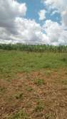 1,000 Acres of Land is Available For Sale in Nanyuki