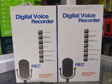 Digital Voice Recorder Rechargeable