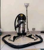 Carpet cleaner with shampooing option