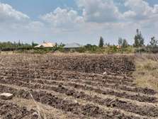 Residential Land at Manyatta Area