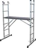 Construction  Ladder (scaffolding Ladder)