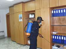 Fumigation against cockroaches, bedbugs,Termites,