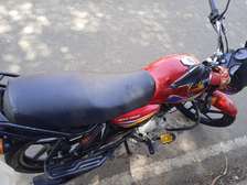 Boxer