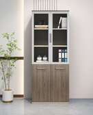 Office Title : Ideal Corporate 2-Door Office Cabinet