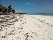 25 ac Land at Kikambala Beach