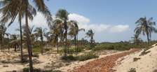 3 Acre property for sale Angels Bay Mambrui,Malindi
