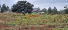 0.05 ha Residential Land in Gikambura