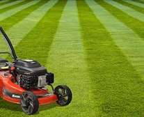 Bestcare – Lawn Mowers & Brush Cutting Experts Kenya