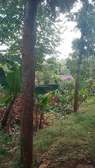 HALF ACRE LAND FOR SALE AT KENOL WITH A TWO BEDROOMED HOUSE