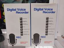Professional Digital voice recorder
