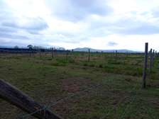Tarmac plot at Mwariki C, Nakuru-Mutaita bypass