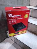 Ramtons induction cooker