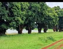 Residential Land in Juja