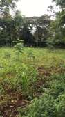 0.125 ac Residential Land in Thika Road