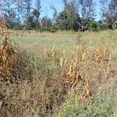 ½ ACRE LAND AT KENOL TOWN IN MURANGA COUNTY