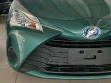 Toyota vitz jungle green