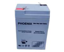 Phoenix SUPER SMART PHOENIX BATTERY 12V4.5AH