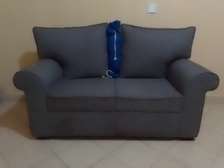 2 Seater Couch with Free Throw Pillow.